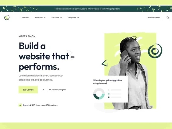 business website template